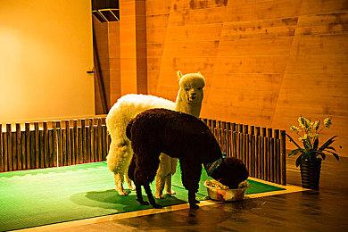 Steam 22年进化史：从简陋更新工具到全球游戏霸主